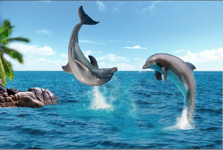 Tile OS-120X180-299-P